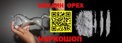 шишки Кудрово