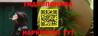 шишки Кудрово