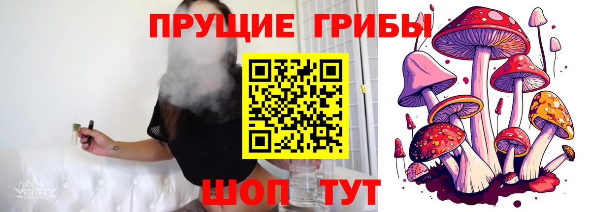 Галлюциногенные грибы MAGIC MUSHROOMS  Псилоцибиновые грибы Magic Shrooms  Копейск  Вход с VPN 