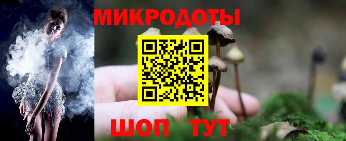 Галлюциногенные грибы прущие грибы Копейск